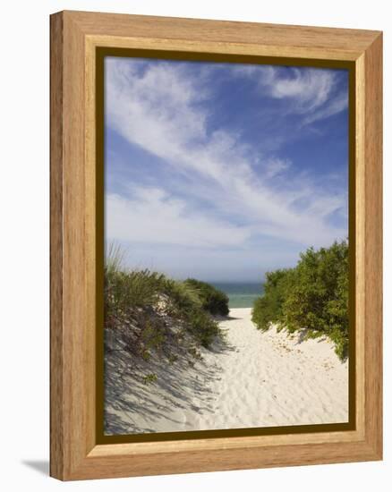 Lambert's Cove Beach, North Tisbury, Martha's Vineyard, Massachusetts, USA-Walter Bibikow-Framed Premier Image Canvas