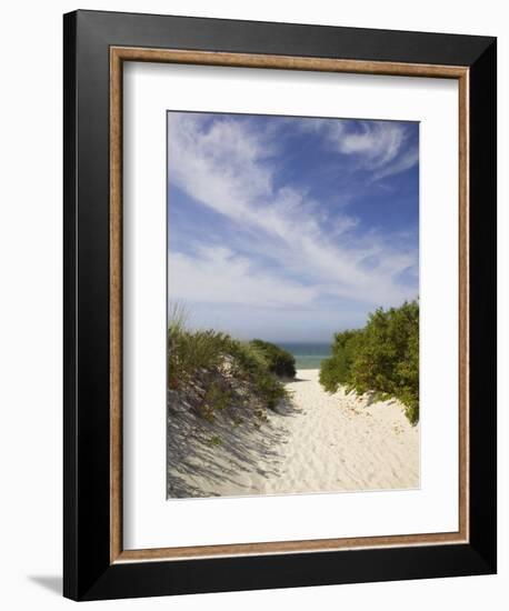 Lambert's Cove Beach, North Tisbury, Martha's Vineyard, Massachusetts, USA-Walter Bibikow-Framed Photographic Print