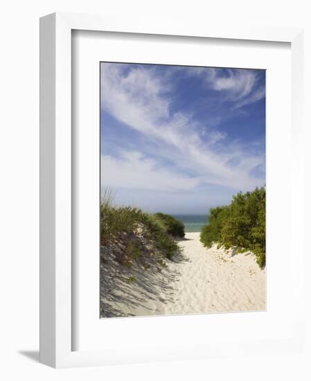 Lambert's Cove Beach, North Tisbury, Martha's Vineyard, Massachusetts, USA-Walter Bibikow-Framed Photographic Print