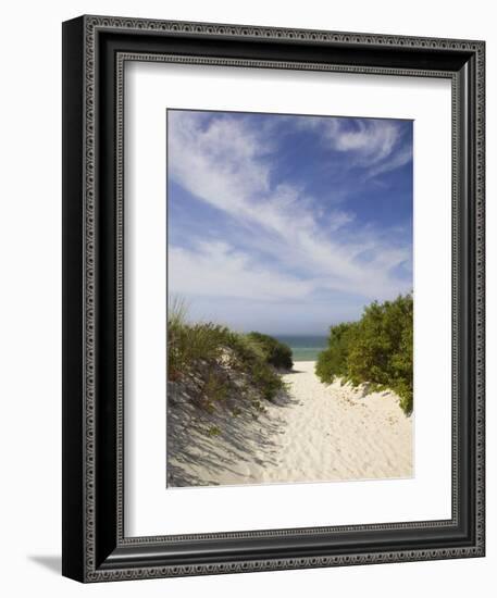 Lambert's Cove Beach, North Tisbury, Martha's Vineyard, Massachusetts, USA-Walter Bibikow-Framed Photographic Print