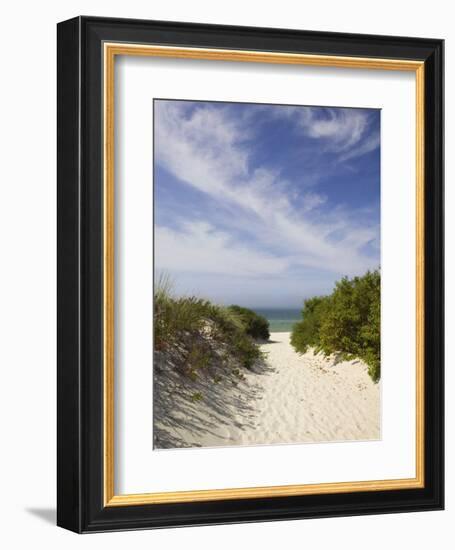 Lambert's Cove Beach, North Tisbury, Martha's Vineyard, Massachusetts, USA-Walter Bibikow-Framed Photographic Print