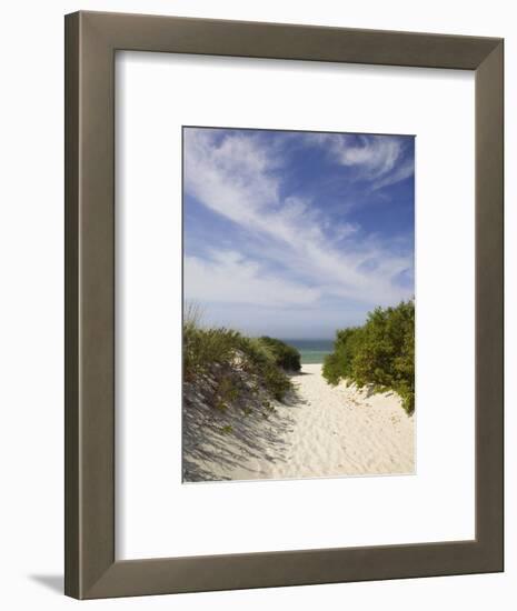 Lambert's Cove Beach, North Tisbury, Martha's Vineyard, Massachusetts, USA-Walter Bibikow-Framed Photographic Print