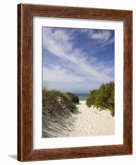 Lambert's Cove Beach, North Tisbury, Martha's Vineyard, Massachusetts, USA-Walter Bibikow-Framed Photographic Print