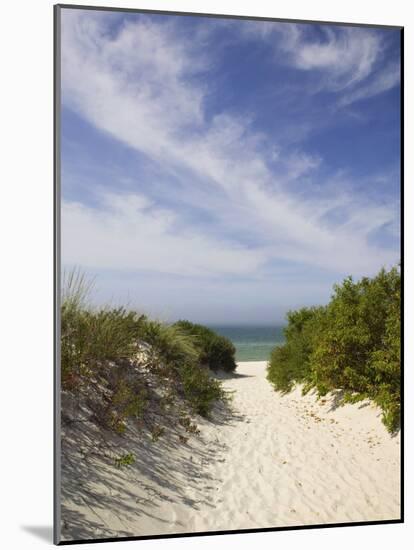 Lambert's Cove Beach, North Tisbury, Martha's Vineyard, Massachusetts, USA-Walter Bibikow-Mounted Photographic Print