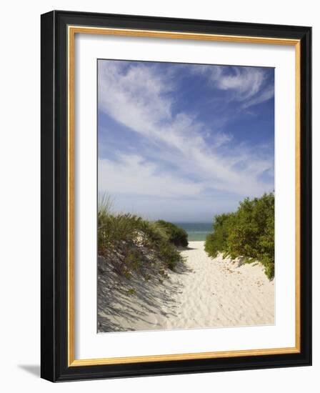 Lambert's Cove Beach, North Tisbury, Martha's Vineyard, Massachusetts, USA-Walter Bibikow-Framed Photographic Print