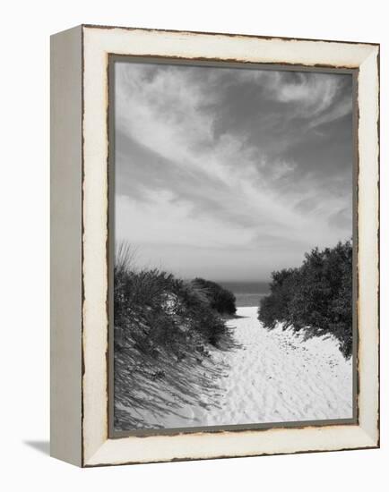 Lambert's Cove Beach, North Tisbury, Martha's Vineyard, Massachusetts, USA-Walter Bibikow-Framed Premier Image Canvas