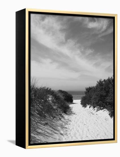 Lambert's Cove Beach, North Tisbury, Martha's Vineyard, Massachusetts, USA-Walter Bibikow-Framed Premier Image Canvas