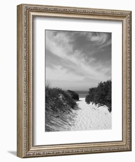 Lambert's Cove Beach, North Tisbury, Martha's Vineyard, Massachusetts, USA-Walter Bibikow-Framed Photographic Print