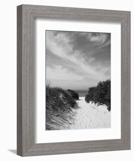 Lambert's Cove Beach, North Tisbury, Martha's Vineyard, Massachusetts, USA-Walter Bibikow-Framed Photographic Print