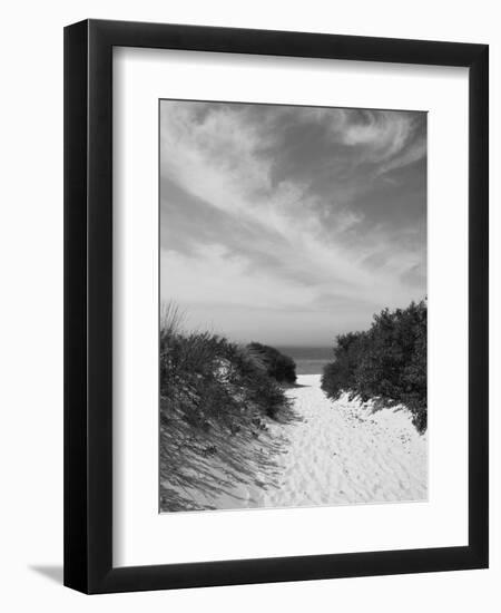 Lambert's Cove Beach, North Tisbury, Martha's Vineyard, Massachusetts, USA-Walter Bibikow-Framed Photographic Print