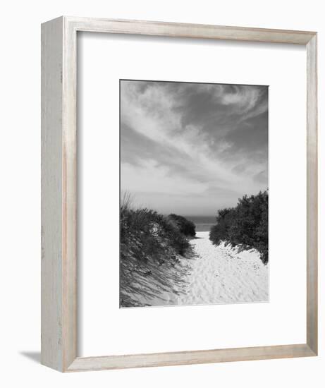 Lambert's Cove Beach, North Tisbury, Martha's Vineyard, Massachusetts, USA-Walter Bibikow-Framed Photographic Print