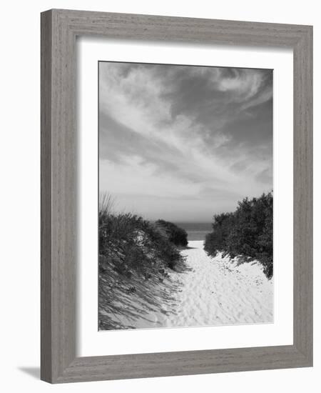 Lambert's Cove Beach, North Tisbury, Martha's Vineyard, Massachusetts, USA-Walter Bibikow-Framed Photographic Print