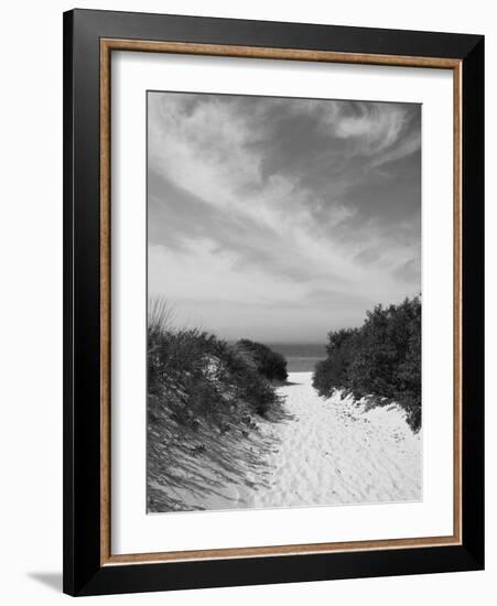 Lambert's Cove Beach, North Tisbury, Martha's Vineyard, Massachusetts, USA-Walter Bibikow-Framed Photographic Print