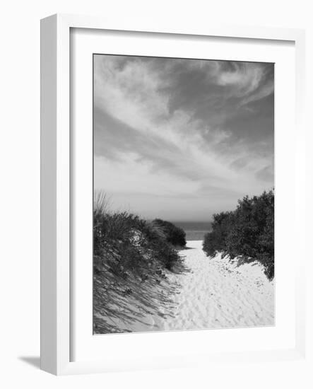 Lambert's Cove Beach, North Tisbury, Martha's Vineyard, Massachusetts, USA-Walter Bibikow-Framed Photographic Print