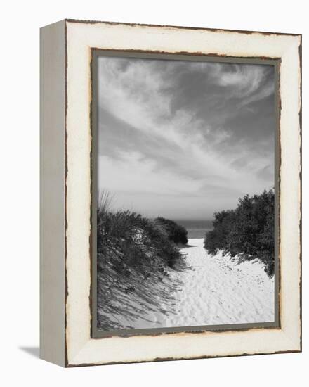 Lambert's Cove Beach, North Tisbury, Martha's Vineyard, Massachusetts, USA-Walter Bibikow-Framed Premier Image Canvas