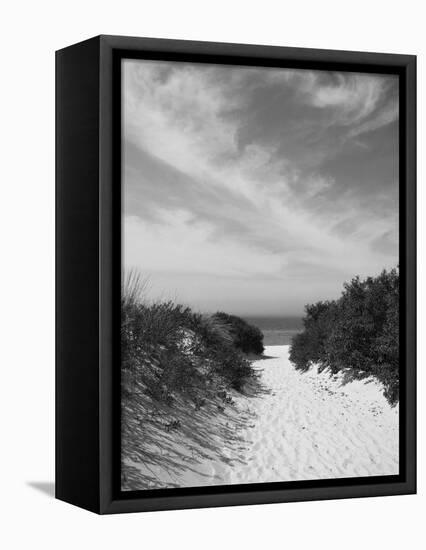 Lambert's Cove Beach, North Tisbury, Martha's Vineyard, Massachusetts, USA-Walter Bibikow-Framed Premier Image Canvas