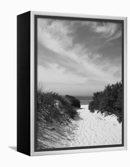 Lambert's Cove Beach, North Tisbury, Martha's Vineyard, Massachusetts, USA-Walter Bibikow-Framed Premier Image Canvas