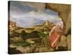Stretched Canvas Print