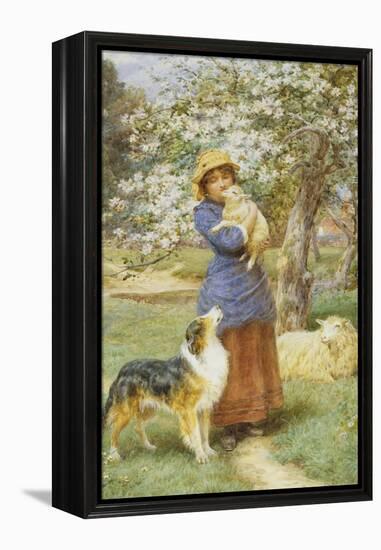 Lambing Time-Basil Bradley-Framed Premier Image Canvas