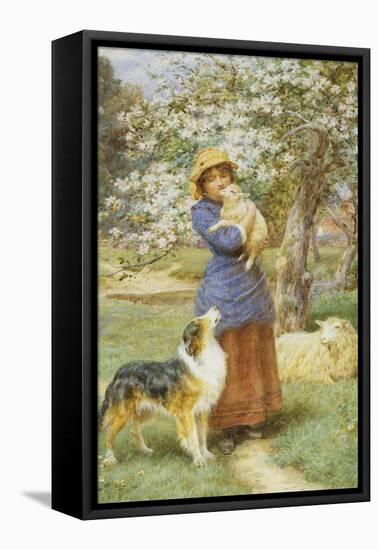 Lambing Time-Basil Bradley-Framed Premier Image Canvas