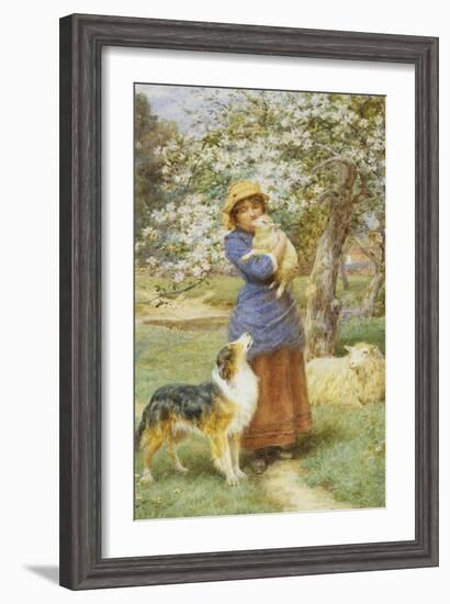 Lambing Time-Basil Bradley-Framed Giclee Print