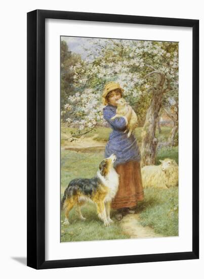 Lambing Time-Basil Bradley-Framed Giclee Print