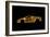 Lamborghini Diablo-O.M.-Framed Giclee Print