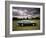 Lamborghini Espada, C1970-null-Framed Photographic Print