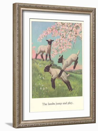 Lambs Jump and Play-null-Framed Art Print