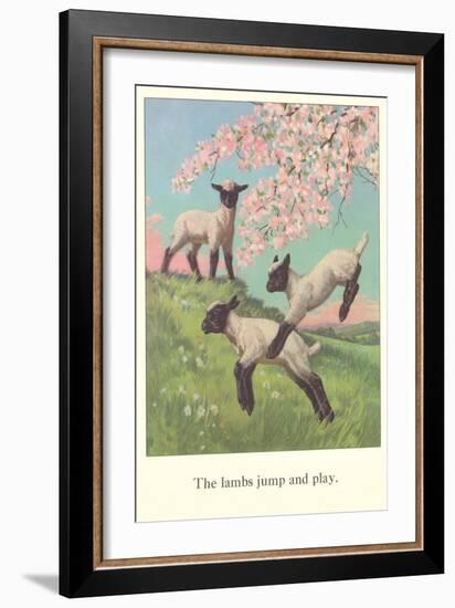 Lambs Jump and Play-null-Framed Art Print