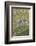 Lambs Play in a Field, Powys, Wales, United Kingdom-Graham Lawrence-Framed Photographic Print