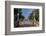 Lamego, Portugal, Shrine of Our Lady of Remedies Steps-Jim Engelbrecht-Framed Photographic Print