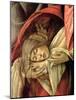 Lamentation over the Dead Christ, Detail of Mary Magdalene, 1490-1500-Sandro Botticelli-Mounted Giclee Print
