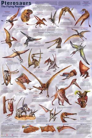 Dinosaur Chart