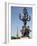 Lamp on the Alexandre Iii Bridge and the Eiffel Tower, Paris, France, Europe-Richard Nebesky-Framed Photographic Print