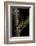 Lampyris Noctiluca (Common Glow-Worm)-Paul Starosta-Framed Photographic Print