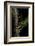 Lampyris Noctiluca (Common Glow-Worm)-Paul Starosta-Framed Photographic Print