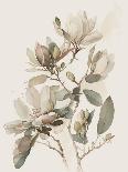 Roses Watercolor II-Lana Kristiansen-Art Print