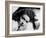 Lana Turner-null-Framed Photographic Print