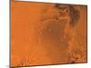 Lanae Palus Region of Mars-Stocktrek Images-Mounted Photographic Print
