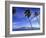 Lanai from Laahaina, Hawaii, USA-Michael DeFreitas-Framed Photographic Print