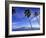 Lanai from Laahaina, Hawaii, USA-Michael DeFreitas-Framed Photographic Print