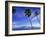 Lanai from Laahaina, Hawaii, USA-Michael DeFreitas-Framed Photographic Print