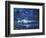 Lanai Luna-Scott Westmoreland-Framed Premium Giclee Print