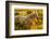 Lancaster County, Pennsylvania. Dappled horse catches mane on barbed wire-Jolly Sienda-Framed Photographic Print