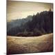 Photographic Print