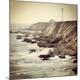 Premium Photographic Print