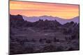 Photographic Print