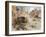 Lance Sergeant J. D Baskeyfield VC (Oil on Canvas)-Terence Cuneo-Framed Giclee Print