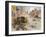 Lance Sergeant J. D Baskeyfield VC (Oil on Canvas)-Terence Cuneo-Framed Giclee Print